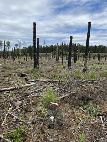 Student excursion to Portugal – Within the „Research project“ course of the Master career Geographical Environmental Research we had an intense and fun field-work in Norther Portugal and Galicia (Northern Spain)