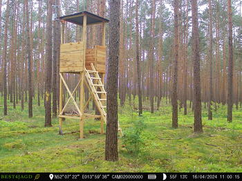 Sensor field in Brandenburg (Gemany) – measuring tree growth, micro climate and watching the forest grow in real time using wild cameras