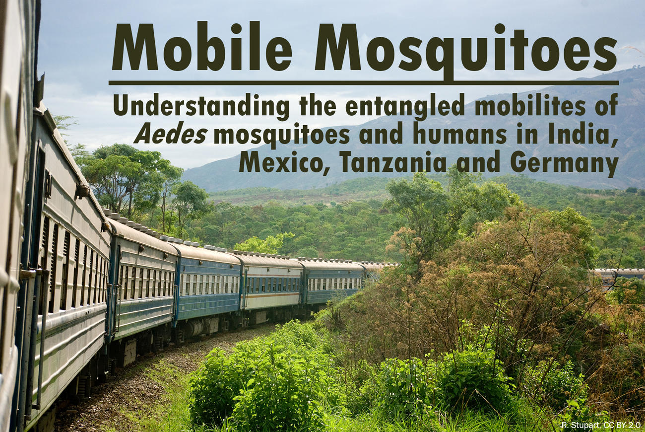 Welcome to the homepage of the research project "Mobile Mosquitoes".