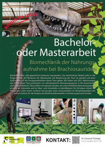 Masterarbeit - Thema I